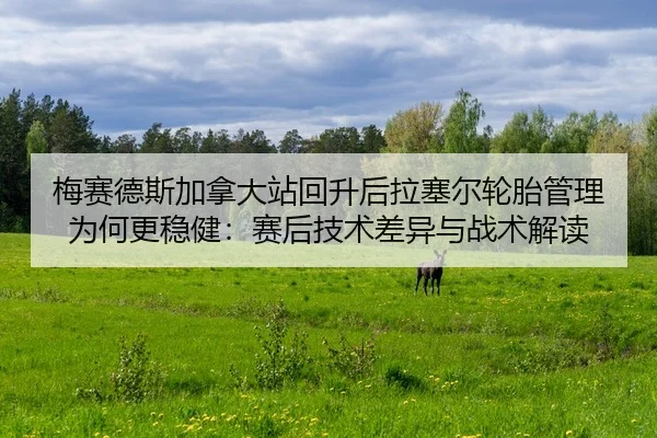 梅赛德斯加拿大站回升后拉塞尔轮胎管理为何更稳健：赛后技术差异与战术解读