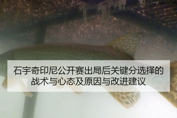 shi-yu-qi-yin-ni-gong-kai-sai-chu-ju-hou-guan-jian-fen-xuan-ze-de-zhan-shu-yu-xin-tai-ji-yuan-yin-yu-gai-jin-jian-yi-2-399.jpg
