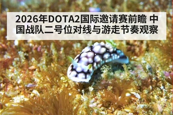 2026年DOTA2国际邀请赛前瞻 中国战队二号位对线与游走节奏观察